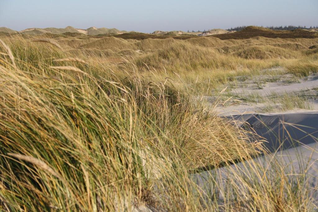 Hotel Anka Norddorf auf Amrum Extérieur photo